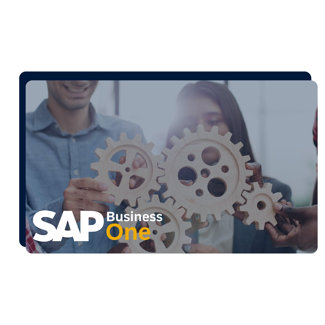 Add-Ons SAP Business One