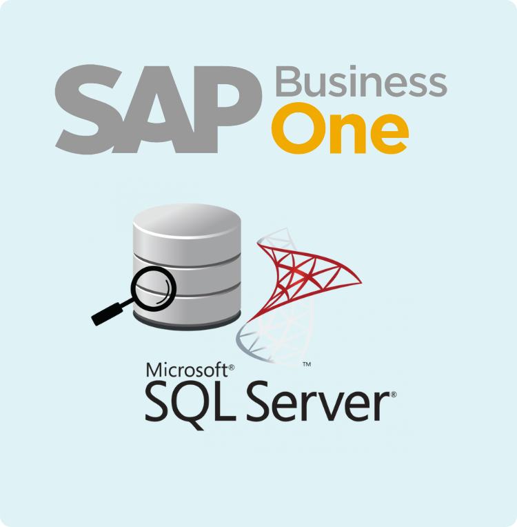 SAP SQL Server